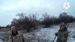 Охота с Эстонским Г №3\в троём взяли рябого