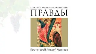 Блаженны алчущие и жаждущие правды | Протоиерей Андрей Чернеев