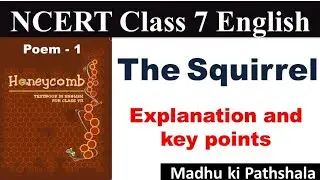 The Squirrel | NCERT | Class 7 | poems | #madhukipathshala | explanation and key points