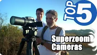 💜The Superzoom Cameras of 2021 - Top 5  Bridge & DSLR Review