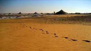 [Electronica] Jonathan Richman & Modern Lovers - Egyptian Reggae (Mojo Filter Edit) [Clip]
