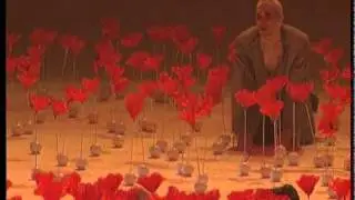 IL MAGO DI OZ  | TV reportage: prima della prima