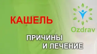 Кашель причины и лечение