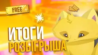 Итоги розыгрыша на бесплатное место в видео 