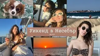 На море с куче I Уикенд влог от Несебър