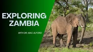 Exploring Zambia: A Journey Through Its Diverse Landscapes and Eco-Friendly Initiatives - Short