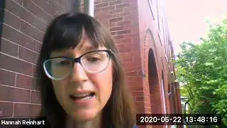 How Long Do Bees Live?