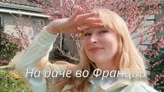 Гость из Польши. Цветущий сад. 
