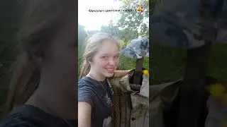 Купальницы😍 