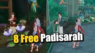 Claim your 8 FREE Padisarah from these NPCs!