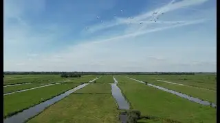 Cumelets