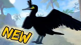 New Cormorant and Gull on Feather Family!!