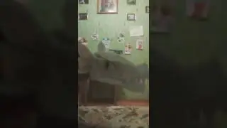 Новой дракон(девачка)(придумайте имя)