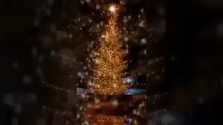 РОЖДЕСТВЕНСКАЯ СКАЗКА В ДИВЕЕВО🙏