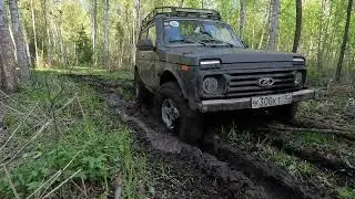 На нивах