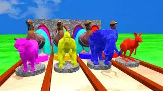 fountain crossing with duck | elephant, gorilla, tiger, kangaroo | fountain crossing animals