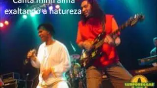 Gybb Rasta - Criação
