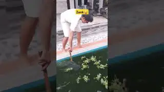 Ternyata susah nyeruk ikan⁉️#shortsvideo #short #shortvideo #viral