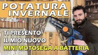 QUALI ALBERI POTARE IN INVERNO - TI PRESENTO IL MINI-MOTOSEGA A BATTERIA