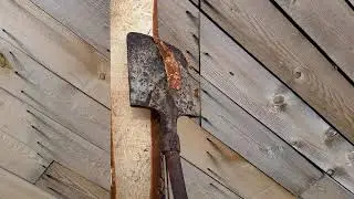 Снимаю кору с доски лопатой