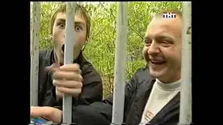 Нарезка из очень странного реалити-шоу 2002 года 