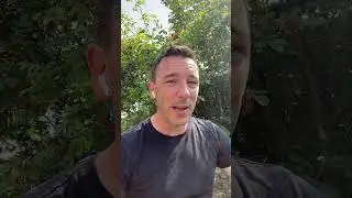 Wordpress backup and updates in 60 seconds
