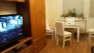 Кот Басмач смотрит МУЗ-ТВ