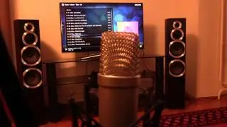Elisa - No hero [Wharfedale Diamond 10.7]