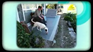 Jimmy a Calice Ligure