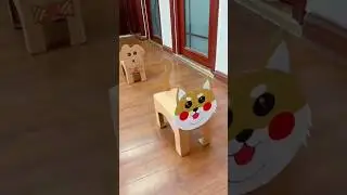 Невероятная прогулка с питомцем дома
