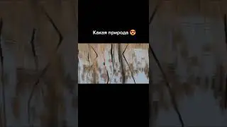 Рыбалка на Поплавок 26🐟 Рыбак Подпишется!😍
