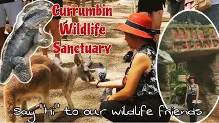 Currumbin Wildlife l Pinay in Australia Vlog