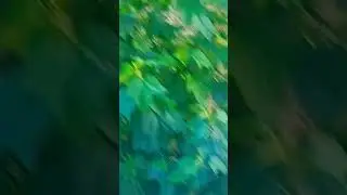 Вор в саду!