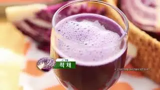 Stainless Twin Gear Slow Juicer Cold Press Juicer Made in Korea