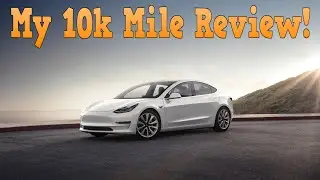 10 thousand MILE TESLA Model 3 review 2020