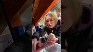 15 триггеров из магазина Светофор 😎 