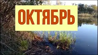 Октябрь, ловля белой на реке