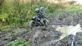 Нашёл урочище на лесной поляне 