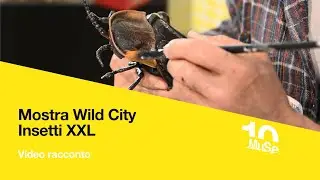 Mostra Wild City - Gli insetti XXL di Lorenzo Possenti