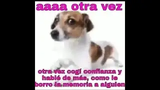 Luis