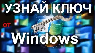 Как узнать ключ продукта Windows 11 и более ранних версий