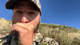 Bull elk has no idea where the cow call is coming from!