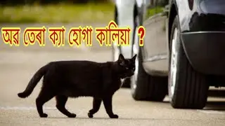 অন্ধবিশ্বাস, সচা নে মিছা । Superstition, What we'll Do ?