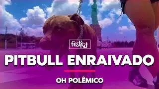 Pitbull Enraivado - Oh Polêmico | COREOGRAFIA - FestRit