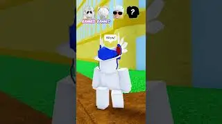 THIS IS THE RAREST ACCOUNT OF BLOX FRUITS ? 🐶 