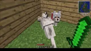 Tekkit Classic - Dogs! Episode 2