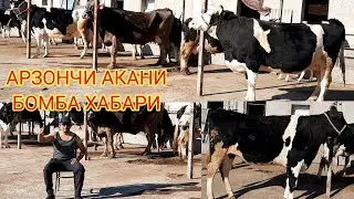 АРЗОНЧИ  АКАНИ  МОЛЛАРИ  АРЗОНАБ  КЕТДИ  МАНА  КАУРИНГ СОТИЛИБ  КЕТДИ ХАММАСИ