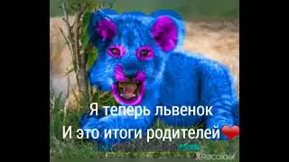 звезда:итоги родителей❤