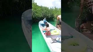 Natural Lazy River in Tulum