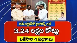 ఏపీ బడ్జెట్  హైలెట్స్ || భారీగా కేటాయింపులు  || ఒకేసారి 4 పధకాలు | AP BUDJET 2025